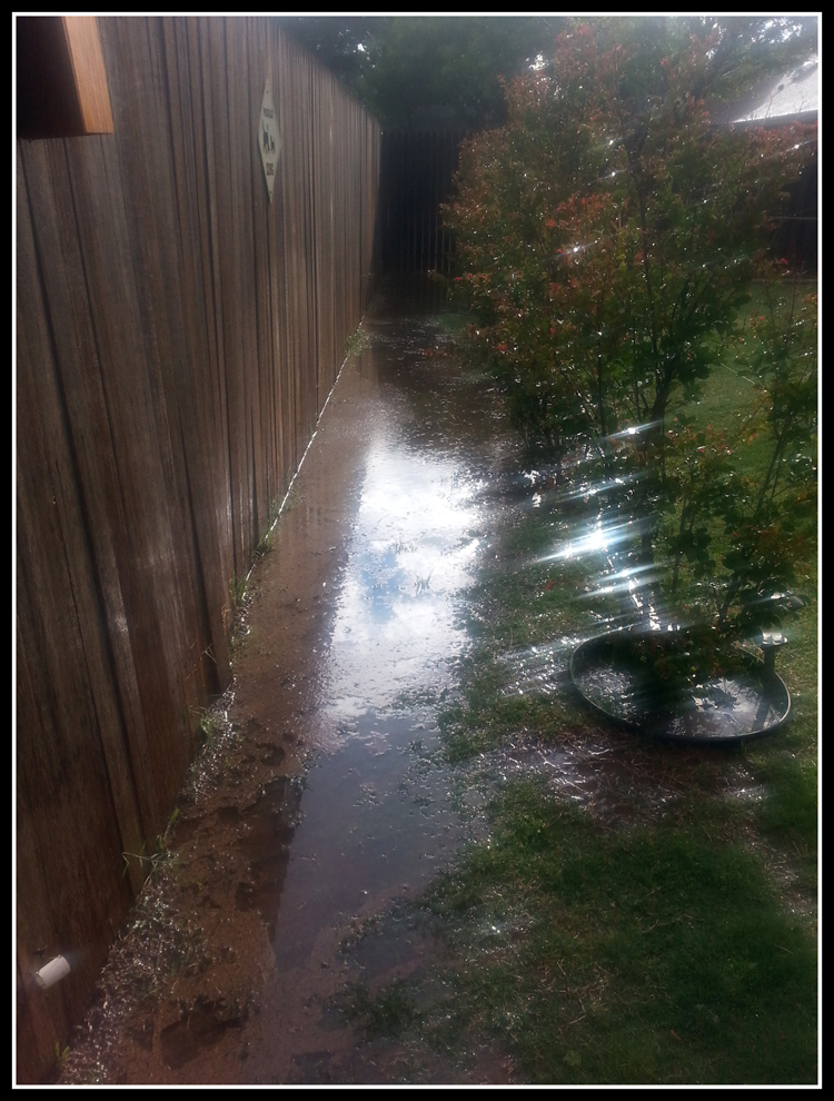 Backyard Flooding